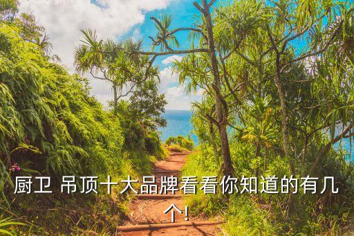 廚衛(wèi) 吊頂十大品牌看看你知道的有幾個!