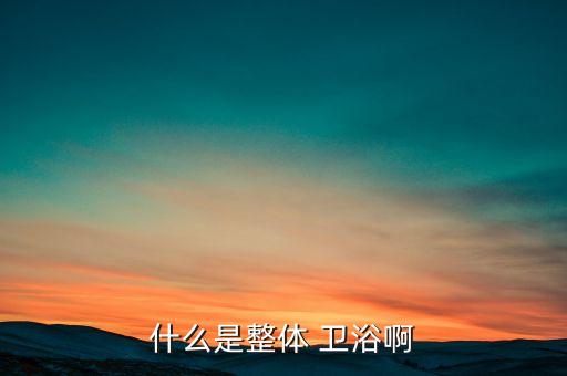 什么是整體 衛(wèi)浴啊