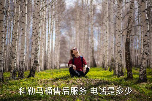 科勒馬桶售后服務(wù) 電話是多少