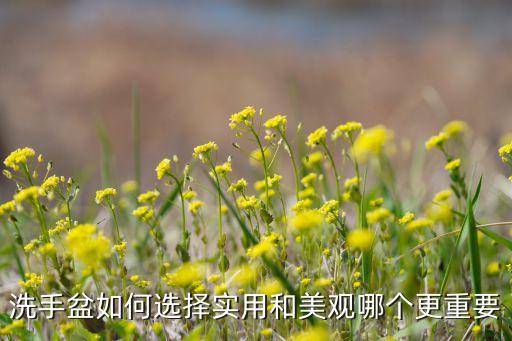 衛(wèi)浴藝術(shù)盆展架圖片欣賞