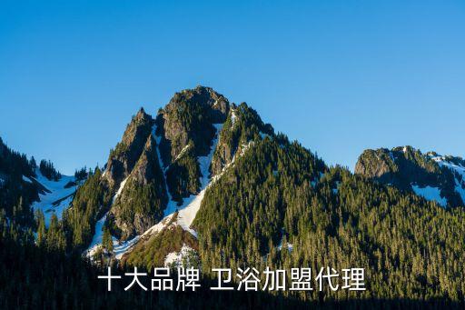 十大品牌 衛(wèi)浴加盟代理