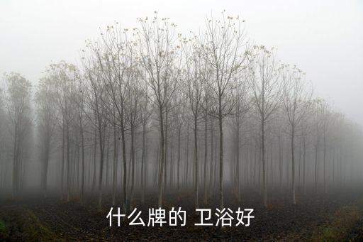什么牌的 衛(wèi)浴好