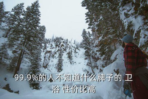 99.9%的人不知道什么牌子的 衛(wèi)浴 性價比高