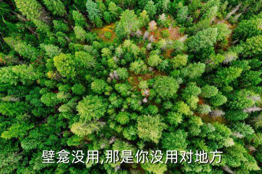  壁龕沒(méi)用,那是你沒(méi)用對(duì)地方