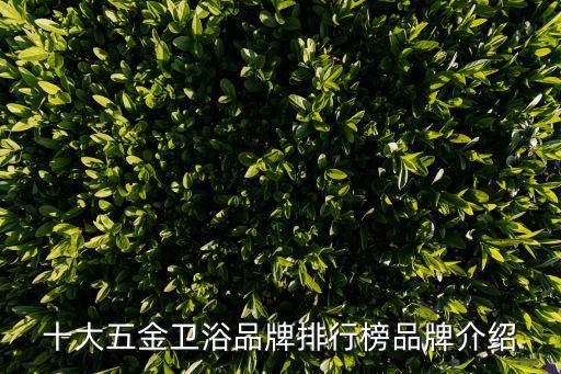 十大五金衛(wèi)浴品牌排行榜品牌介紹
