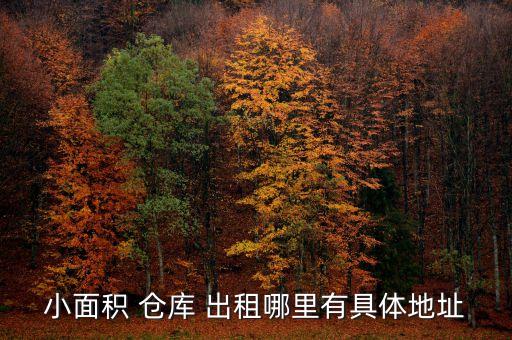 小面積 倉庫 出租哪里有具體地址