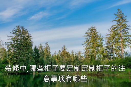 裝修中,哪些柜子要定制定制柜子的注意事項(xiàng)有哪些