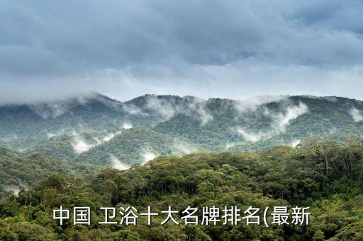 中國 衛(wèi)浴十大名牌排名(最新