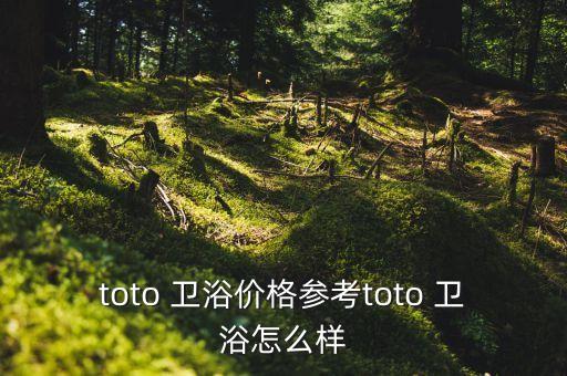 toto 衛(wèi)浴價格參考toto 衛(wèi)浴怎么樣