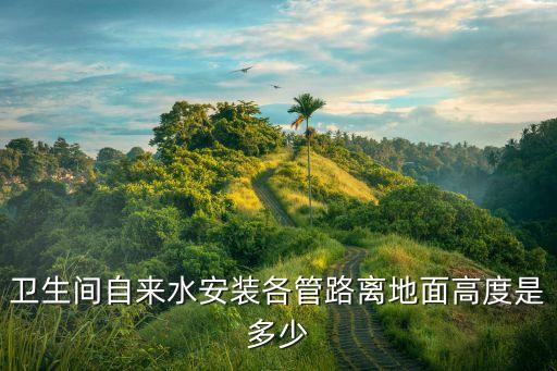 衛(wèi)生間自來水安裝各管路離地面高度是多少