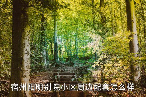 宿州陽明別院小區(qū)周邊配套怎么樣
