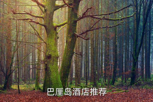 水東衛(wèi)浴網(wǎng)紅店地址查詢