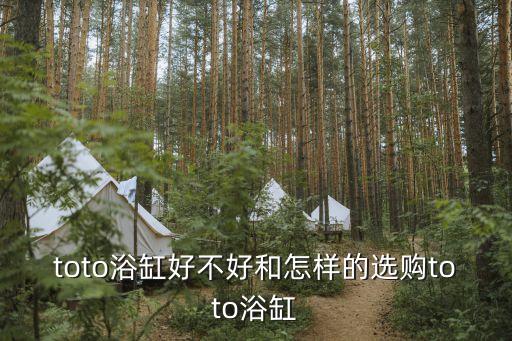 T0T0衛(wèi)浴無錫專賣店電話