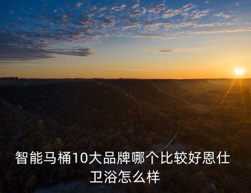 智能馬桶10大品牌哪個比較好恩仕 衛(wèi)浴怎么樣