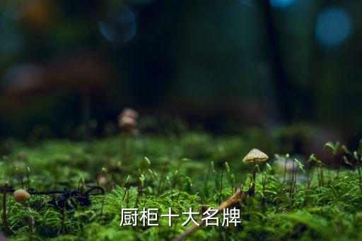 廚柜十大名牌
