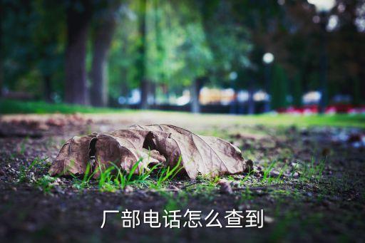 廠部電話怎么查到