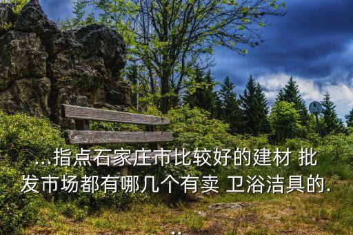...指點石家莊市比較好的建材 批發(fā)市場都有哪幾個有賣 衛(wèi)浴潔具的...