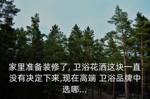 家里準(zhǔn)備裝修了, 衛(wèi)浴花灑這塊一直沒有決定下來,現(xiàn)在高端 衛(wèi)浴品牌中選哪...