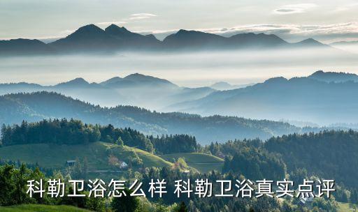  科勒衛(wèi)浴怎么樣 科勒衛(wèi)浴真實(shí)點(diǎn)評(píng)