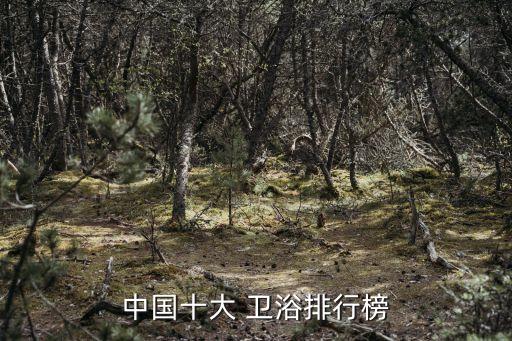 中華建材衛(wèi)浴哪個品牌好,建材衛(wèi)浴十大品品牌排行榜