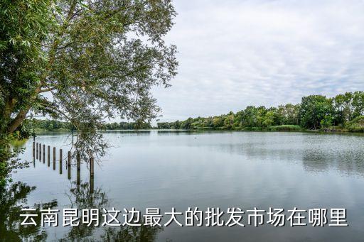 云南潔具衛(wèi)浴品牌,中國(guó)潔具衛(wèi)浴10大品牌排行榜
