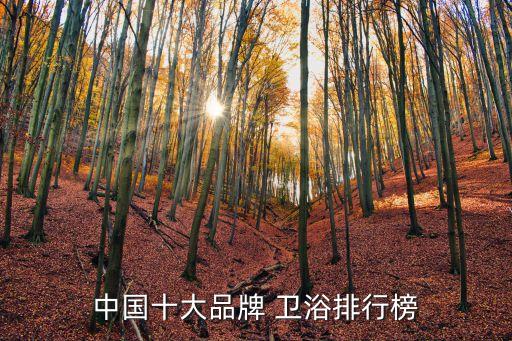 中國(guó)十大品牌 衛(wèi)浴排行榜