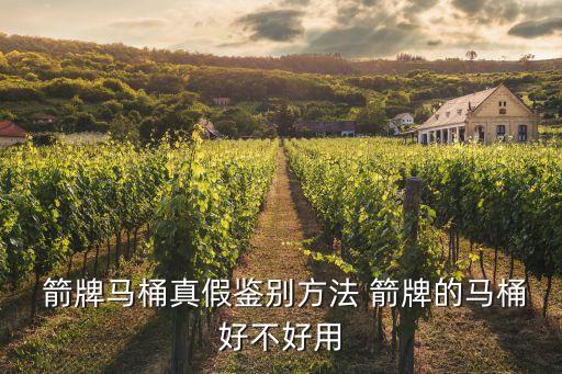  箭牌馬桶真假鑒別方法 箭牌的馬桶好不好用