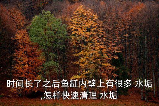 時間長了之后魚缸內壁上有很多 水垢,怎樣快速清理 水垢