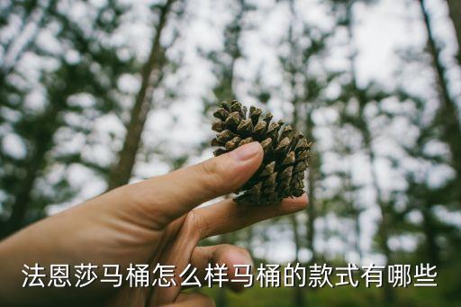 法恩莎馬桶怎么樣馬桶的款式有哪些
