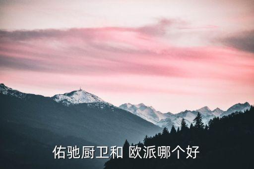 佑馳廚衛(wèi)和 歐派哪個(gè)好