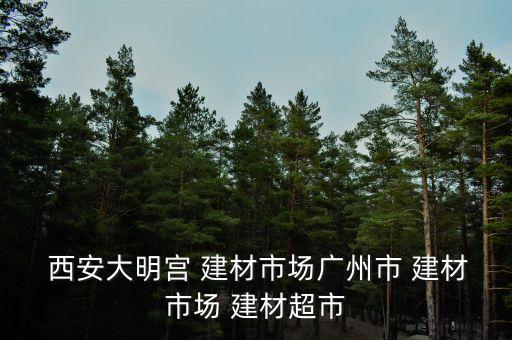  西安大明宮 建材市場(chǎng)廣州市 建材市場(chǎng) 建材超市