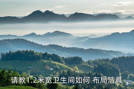 衛(wèi)浴下水管布局示意圖片