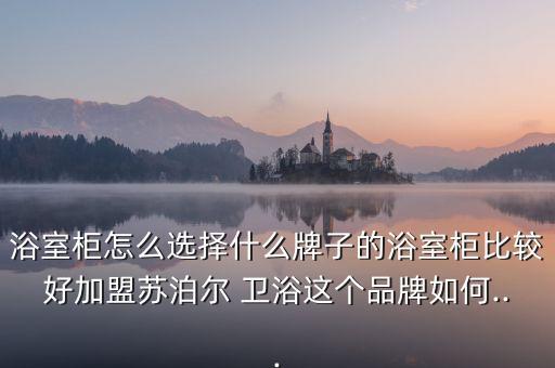 加盟衛(wèi)浴什么品牌好呢,衛(wèi)浴品牌排行榜前二十名加盟
