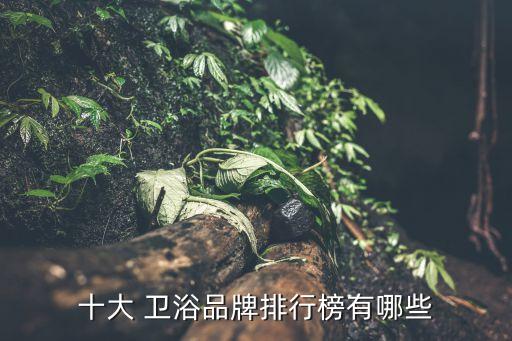 衛(wèi)浴品牌的視頻,中國十大衛(wèi)浴品牌有哪些