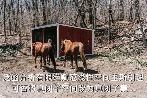 泛函分析有限維賦范線性空間里斯引理可否將真閉子空間改為真閉子集...