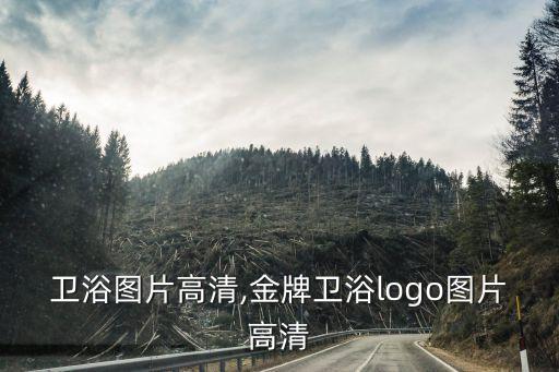 千科衛(wèi)浴圖片高清,金牌衛(wèi)浴logo圖片高清