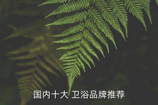 國內(nèi)十大 衛(wèi)浴品牌推薦