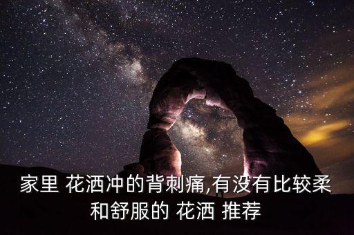 家里 花灑沖的背刺痛,有沒有比較柔和舒服的 花灑 推薦