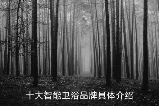 十大智能衛(wèi)浴品牌具體介紹
