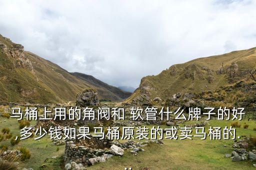 衛(wèi)浴軟管買哪個品牌好點,樂家衛(wèi)浴是哪個國家的品牌