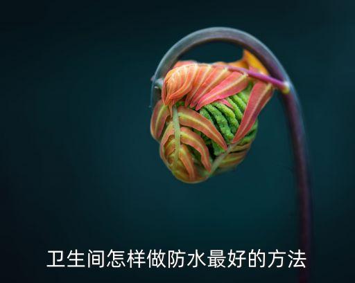 衛(wèi)生間怎樣做防水最好的方法
