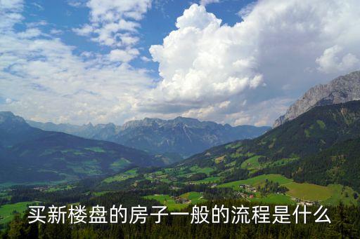買新樓盤的房子一般的流程是什么