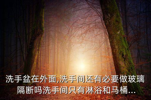 洗手盆在外面,洗手間還有必要做玻璃 隔斷嗎洗手間只有淋浴和馬桶...