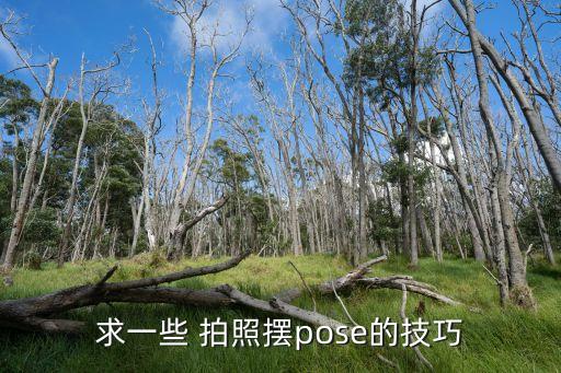 衛(wèi)浴美圖拍照姿勢大全圖片