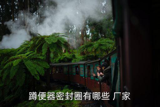 蹲便器密封圈有哪些 廠家