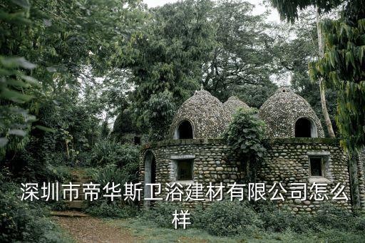  深圳市帝華斯衛(wèi)浴建材有限公司怎么樣