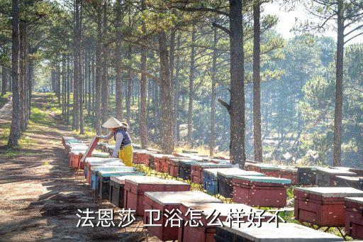 法恩莎 衛(wèi)浴怎么樣好不