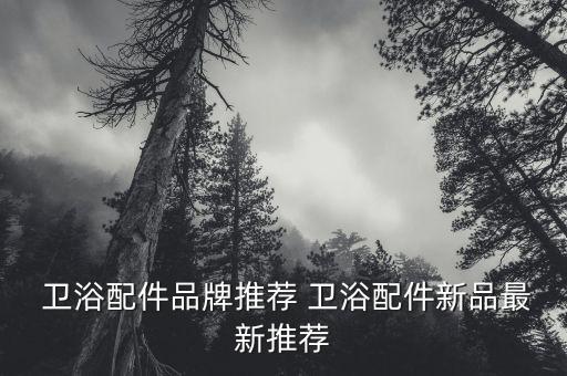  衛(wèi)浴配件品牌推薦 衛(wèi)浴配件新品最新推薦
