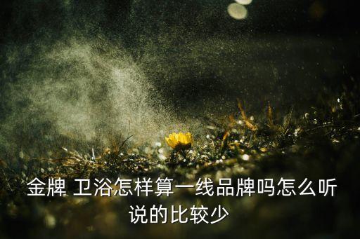 金牌 衛(wèi)浴怎樣算一線品牌嗎怎么聽說的比較少