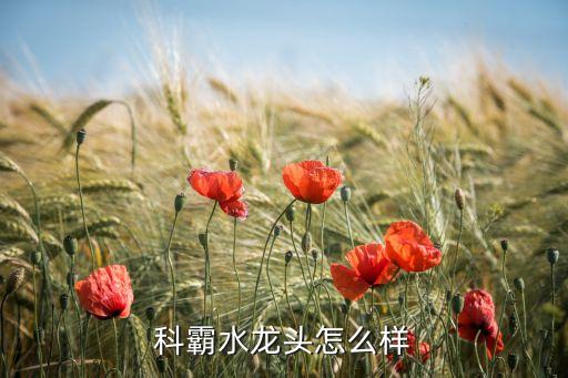 株洲衛(wèi)霸衛(wèi)浴地址查詢?cè)谀睦? /></a><a href=